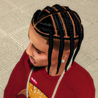 Cassius Braids